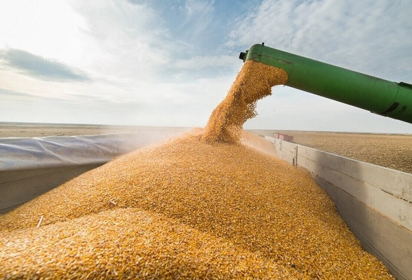 Румыния утвердила правила импорта украинского зерна