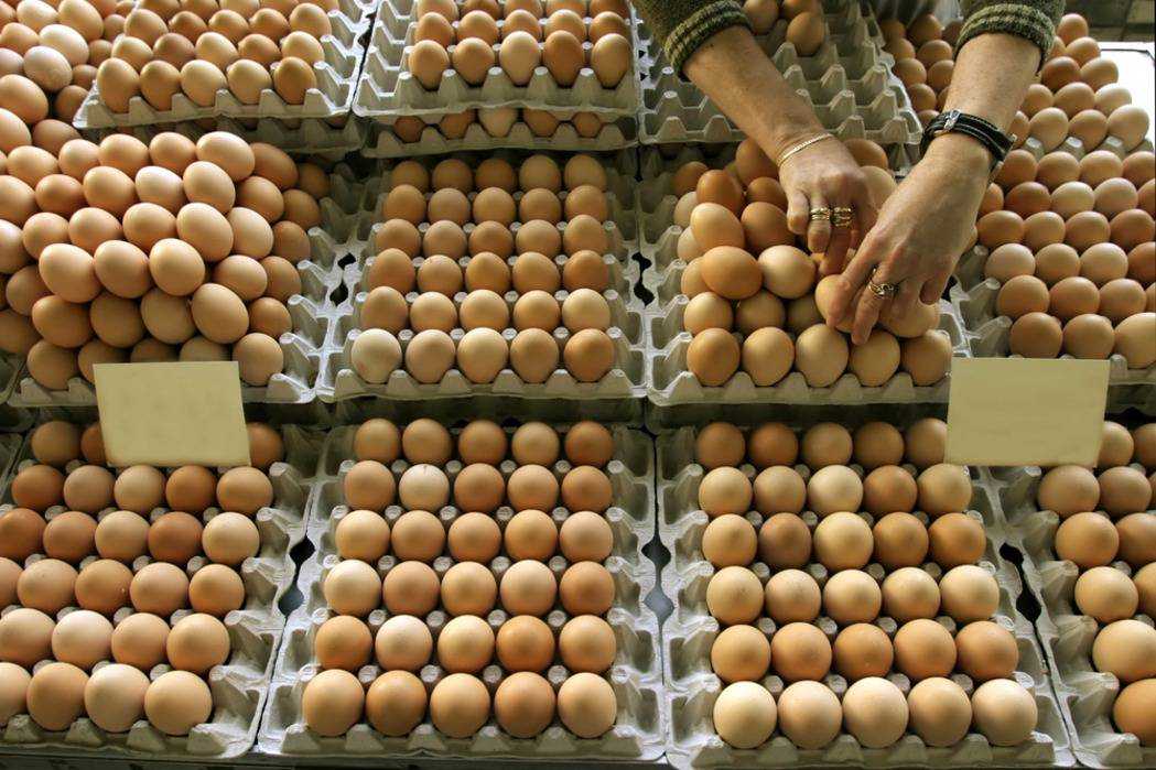 В АТБ показали наявність та ціни на яйця