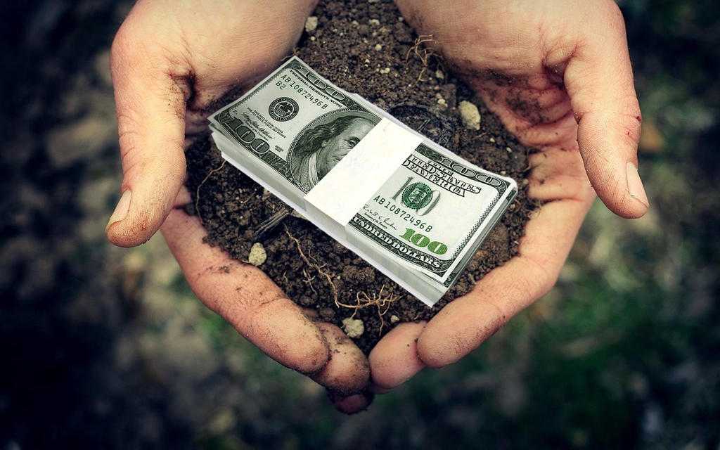 В сельском хозяйстве на 24,7% выросла зарплата