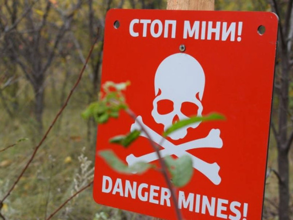 Для разминирования территории Украины необходимо 37 млрд долл. - министр