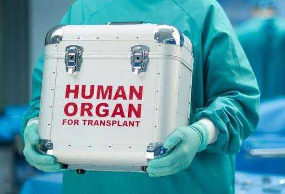 Згода на донорство в декілька "кліків": у МВС та Мінцифри працюють над новою функцією "Дії"