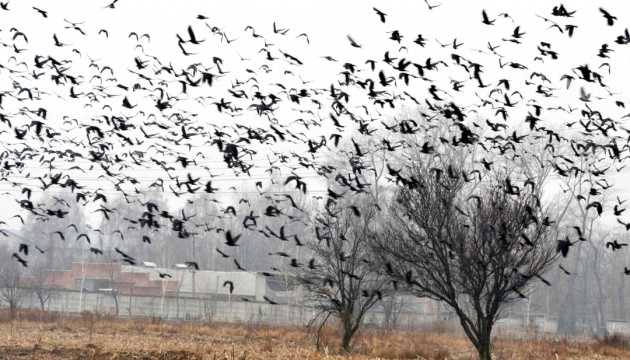 Погода резко ухудшится: в Украине объявили штормовое предупреждение