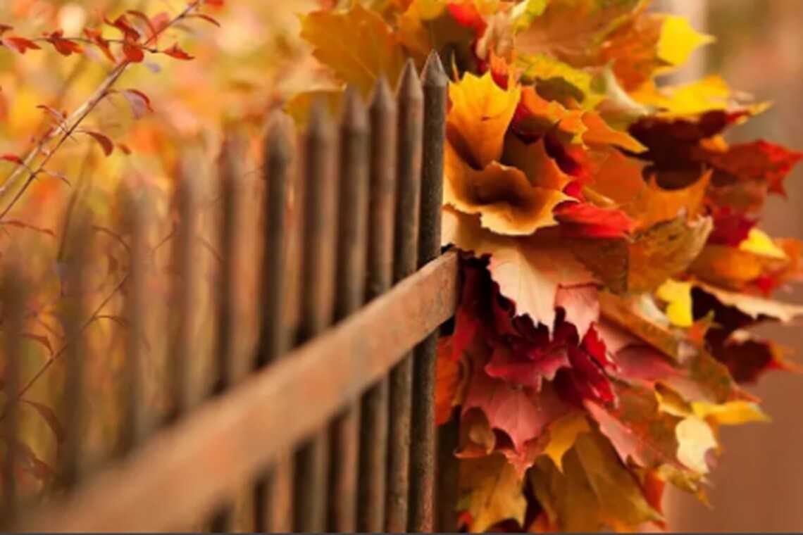 Синоптики розповіли про погоду у жовтні