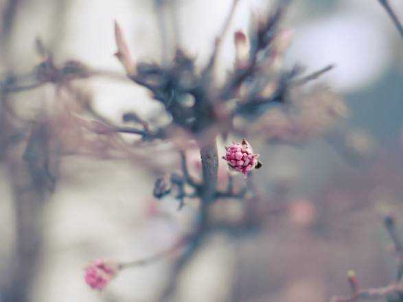 Синоптики дали прогноз погоди на 8 березня