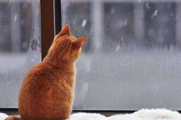 Погода на январь