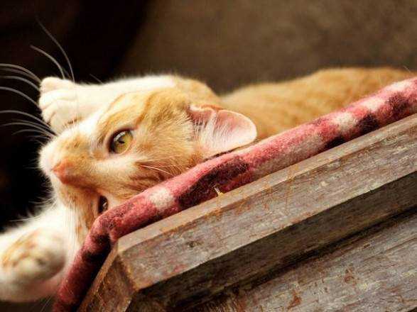 От 5° мороза до 5° тепла: прогноз погоды на сегодня