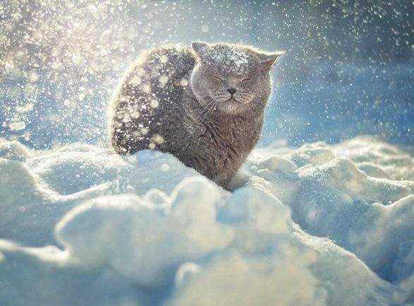 Метеорологи о морозной погоде: редкое явление, но не аномалия