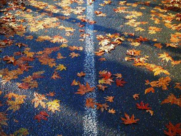 Дощі по Україні та мокрий сніг у Карпатах: прогноз погоди на сьогодні