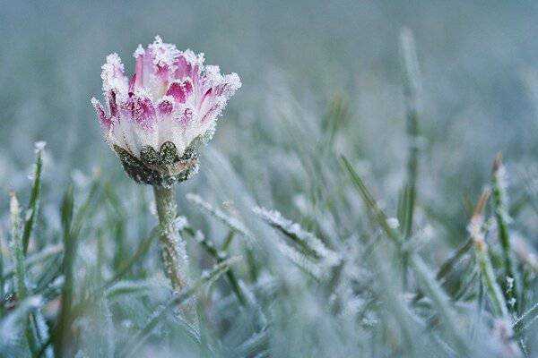 В Украину идет новая волна похолодания: неутешительный прогноз