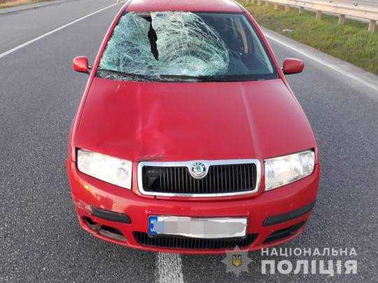 Под Винницей полицейский задавил пешехода, перебегавшего дорогу