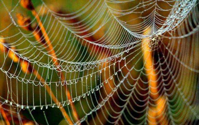 В Украину идет идеальное бабье лето