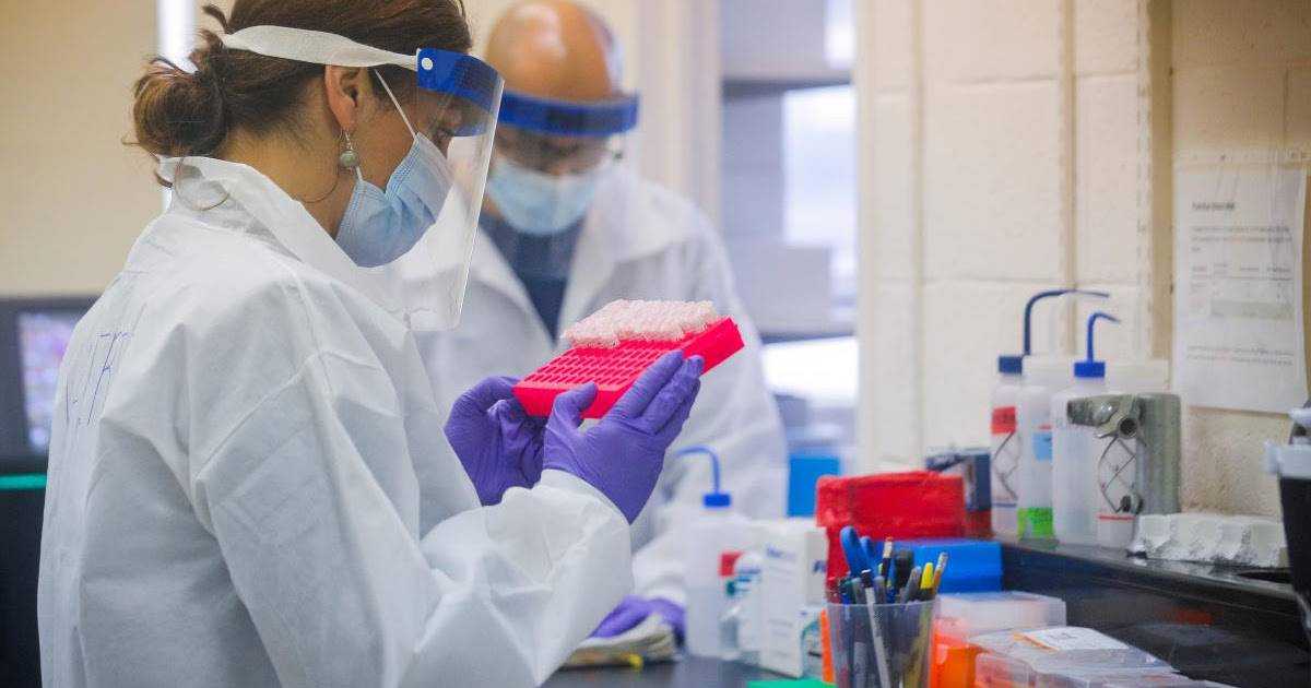 В Житомире коронавирус выявили у 40% работников школ