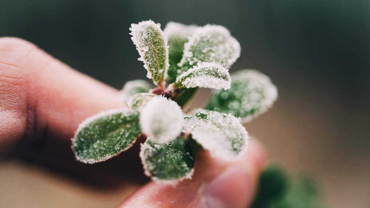 Температура в Україні впаде до -5°: оголошено І рівень небезпечності