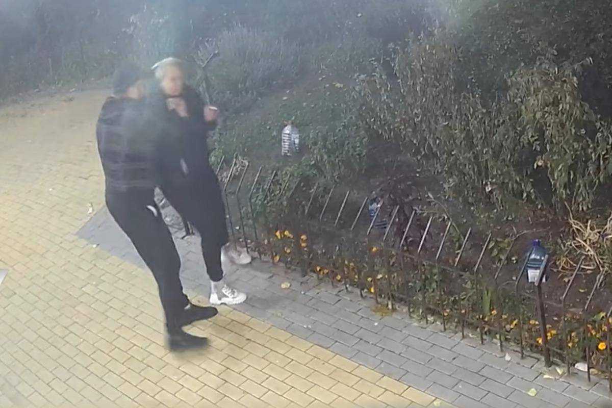 "У мене руки в синцях": у Києві єпископ побив жінку через собаку