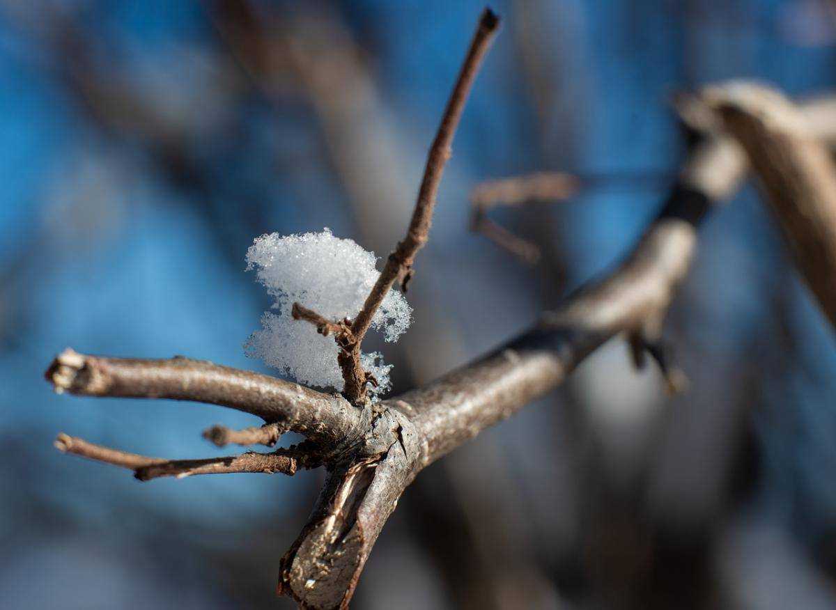 В Україну увірветься тепло до +10°: названа точна дата