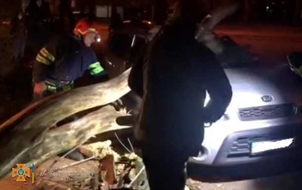 У Кривому Розі на авто впало дерево, є постраждалий