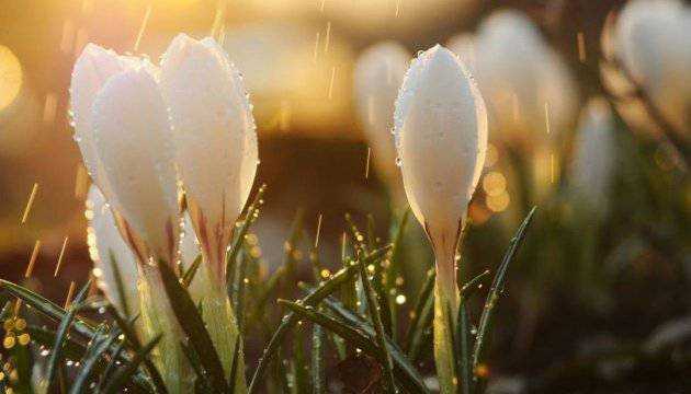 Травень прийде з дощами і грозами