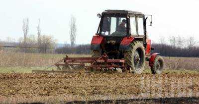 Расходы на производство сельхозпродукции в Украине в первом полугодии выросли на 6% - Госстат