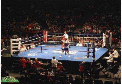 Четыре украинских боксера примут участие в первом сезоне AIBA Professional Boxing