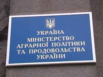 Минагропрод: Три заблокированных элеватора Государственной продкорпорации теряют по 100 - 120 тыс. грн в неделю