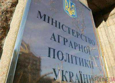 Минагрополитики планирует разработать стратегию развития агросектора до 2020 г.