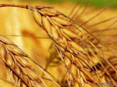 Инвесторы боятся кредитовать аграриев Донбасса - А.Павленко