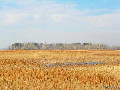 В Черкасской области горит Липовский орнитологический заказник