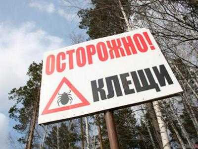 В Днепропетровске зафиксировано 2 случая болезни Лайма, которую переносят клещи