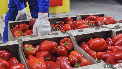 С начала года наибольшие объемы с/х продукции Украина экспортировала в Испанию и Италию