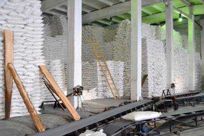 Украина может произвести 1,2 млн тонн сахара - "Укрцукор"