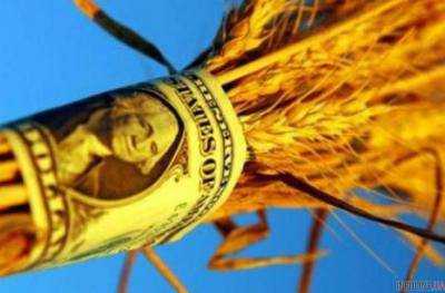 Экспорт аграрной продукции составляет 35,7% от общего экспорта Украины - Министр