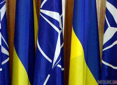 Украина строит боеспособные силы по стандартам НАТО - посол США