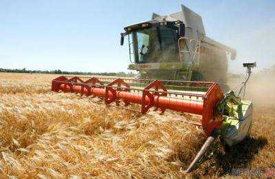 В прошлом году экспорт аграрной продукции в Китай достиг 1,2 млрд долл.