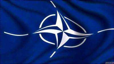 НАТО поддерживает перемирие в Сирии