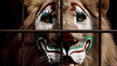 Порошенко попросили запретить использование животных в цирке