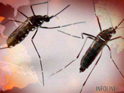 В Никарагуа зафиксировано более 180 случаев заражения лихорадкой Зика