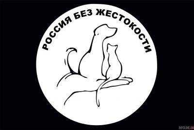 В России может появится омбудсмен по защите прав животных