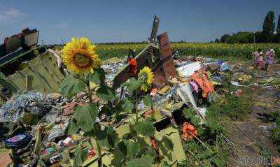 Американский адвокат Джерри Скиннер заявил: ответственность за крушение MH17 должен нести В.Путин