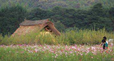 В Японии мальчик найден живым после семи дней жизни в лесу