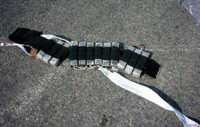 В Германии у стрелка из кинотеатра обнаружили пояс со взрывчаткой и гранату