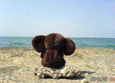 В честь 80-летия киностудии «Союзмультфильм» на МКС отправят Чебурашку