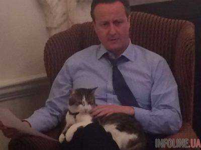 Премьер Великобритании Д.Кэмерон признался в любви к коту Ларри