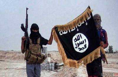 Связанная с ИГ группа террористов готовила взрывы в столице РФ и Санкт-Петербурге