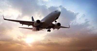 Перевозкой останков Олеся в Украину займется МИД