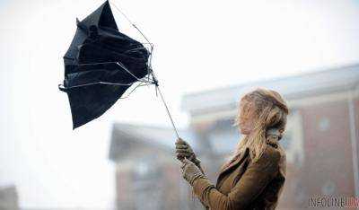 Во Франции около 230 тыс. домов остались без света из-за бури