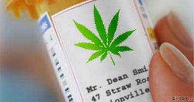 В Германии в медицинских целях разрешили продавать марихуану