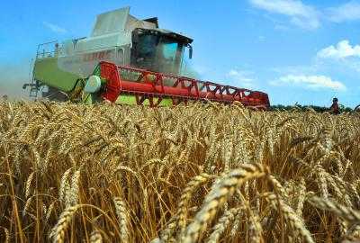 Украинским аграриям будут компенсировать 15% стоимости отечественной с/х техники