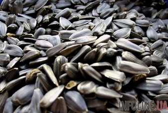 В Днепропетровской области задержали водителя, который перевозил 14 тонн семян подсолнечника