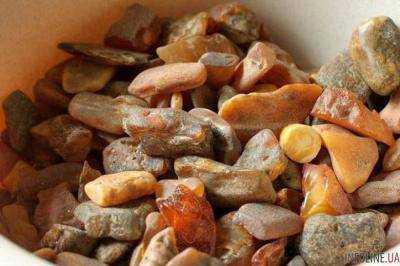 В Ровно правоохранители задержали водителя с отборным янтарем