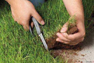 Отныне в России в случае необходимости можно изымать землю у владельцев